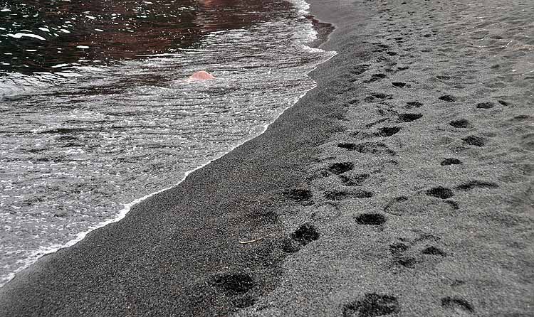 shoreline